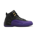Air Jordan 12 Retro 'Field Purple' (CT8013-057)